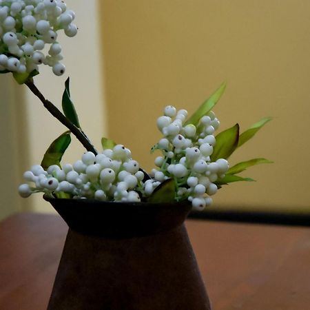 Little Lamb Apartment Beaufort West Bagian luar foto